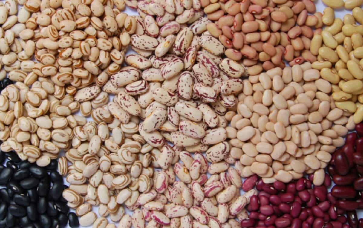 Uma Deliciosa Sopa de Feijão, Muito Fácil de Fazer