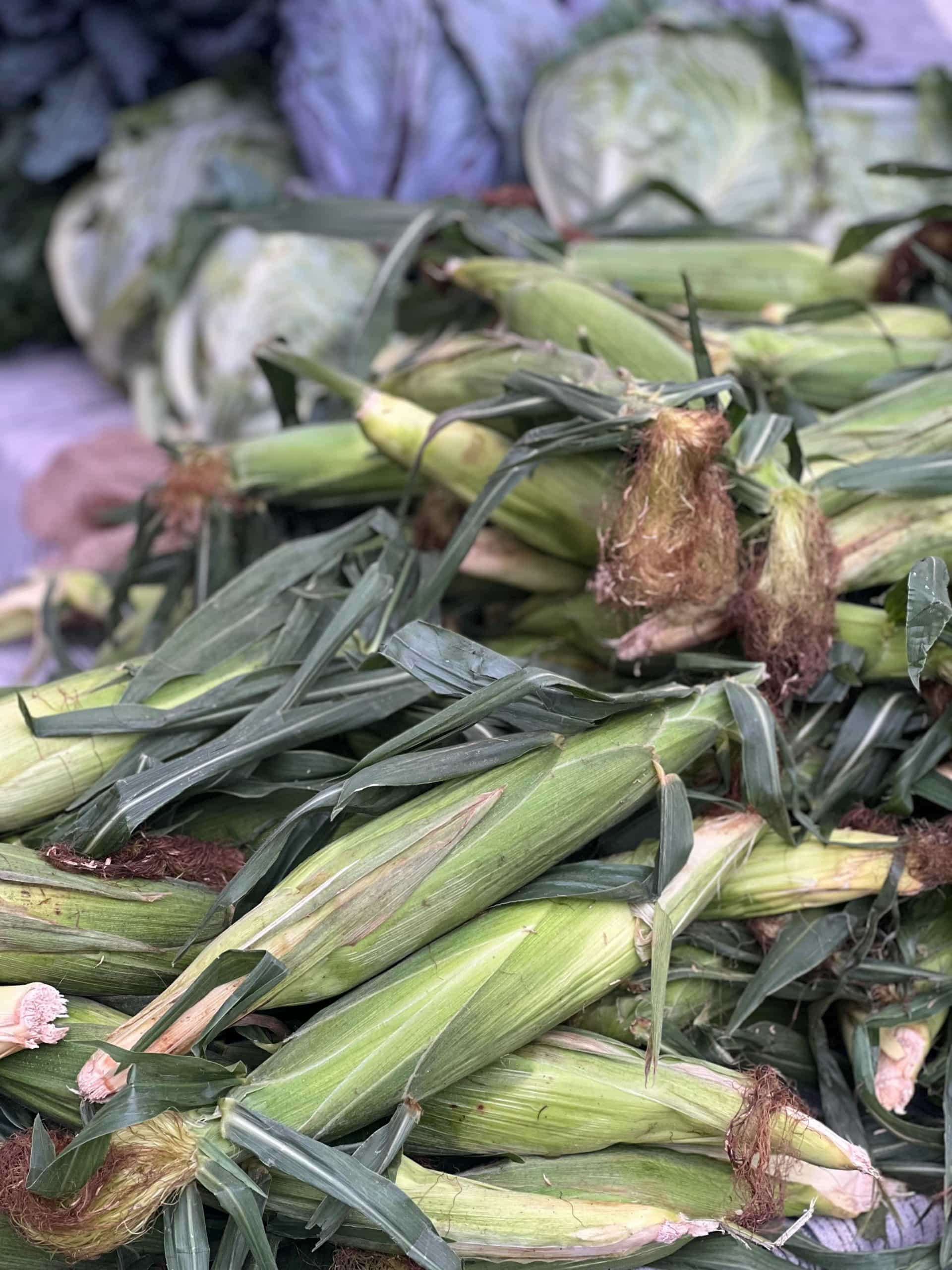 Como Fazer Cuscuz de Milho Novo: Guia Completo