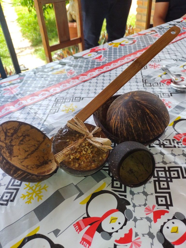 Transformando Casca de Coco em Obras de Arte: Passo a Passo